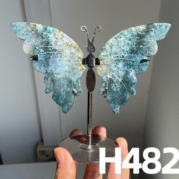 Small Butterfly Wings