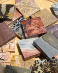 Picture Jasper Slab/Coaster