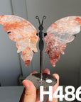 Small Butterfly Wings