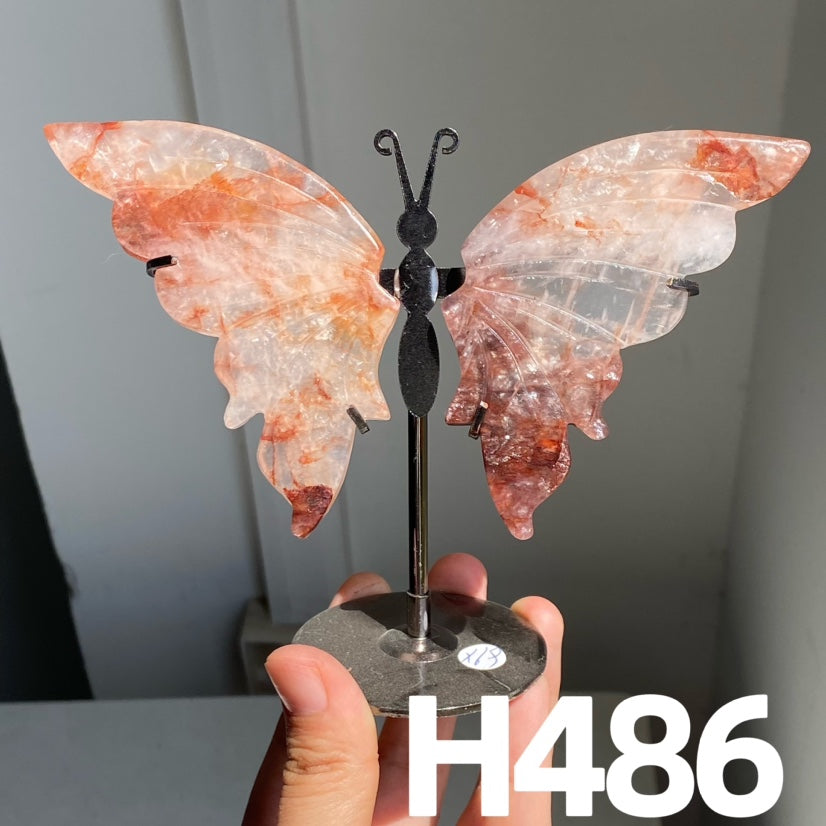 Small Butterfly Wings
