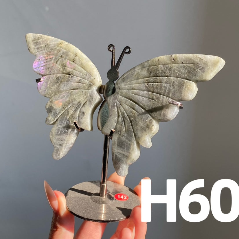 Small Butterfly Wings