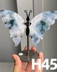 Small Butterfly Wings