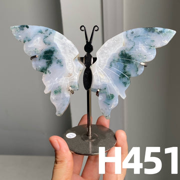 Small Butterfly Wings