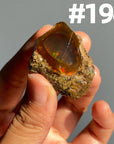 Ethiopian Water Opal