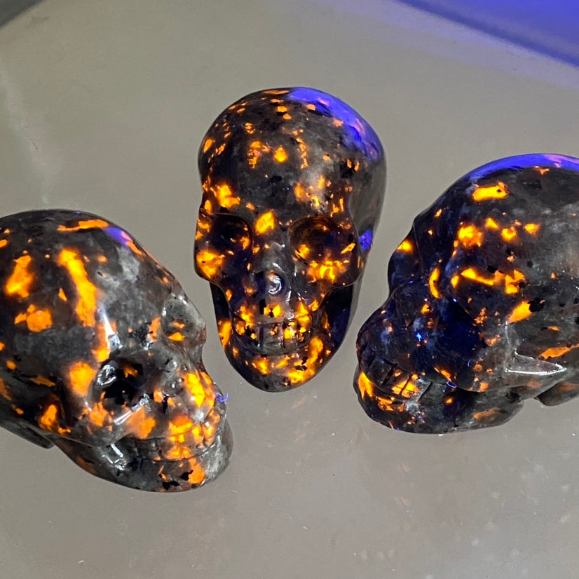 Yooperlite Skulls