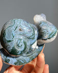 Moss Agate Snail