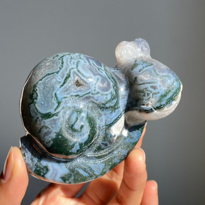 Moss Agate Snail