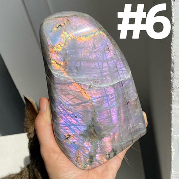 Purple Flash Labradorite Freeform