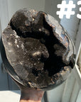 Septarian Egg & Freeform