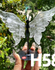 Small Butterfly Wings