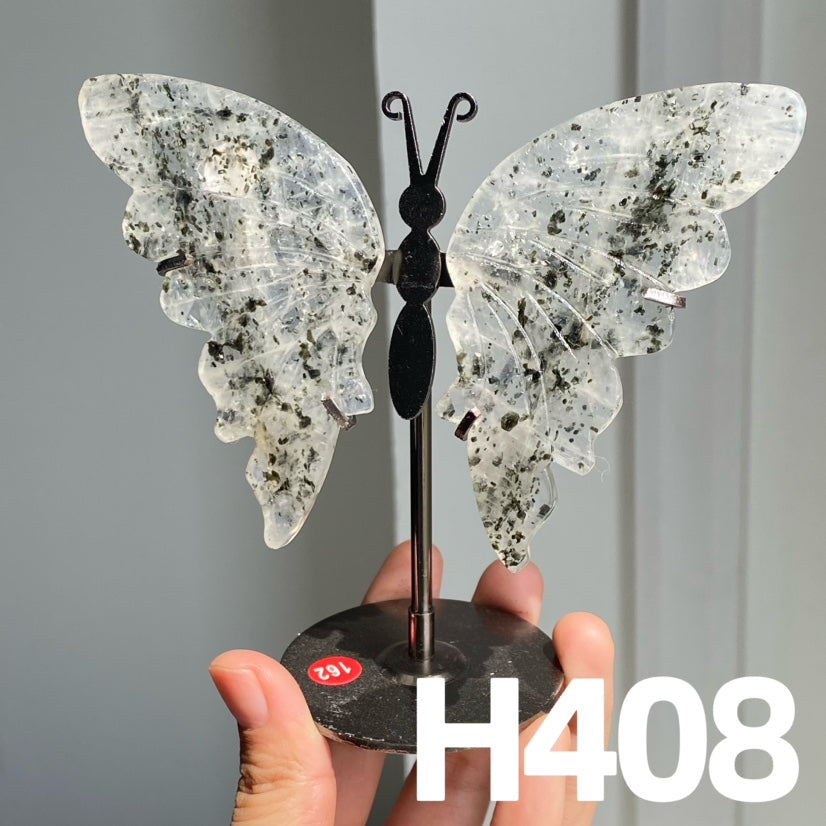 Small Butterfly Wings