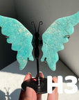 Small Butterfly Wings
