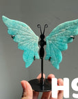 Small Butterfly Wings