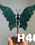 Small Butterfly Wings