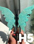 Small Butterfly Wings