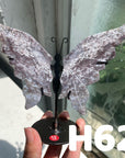 Small Butterfly Wings
