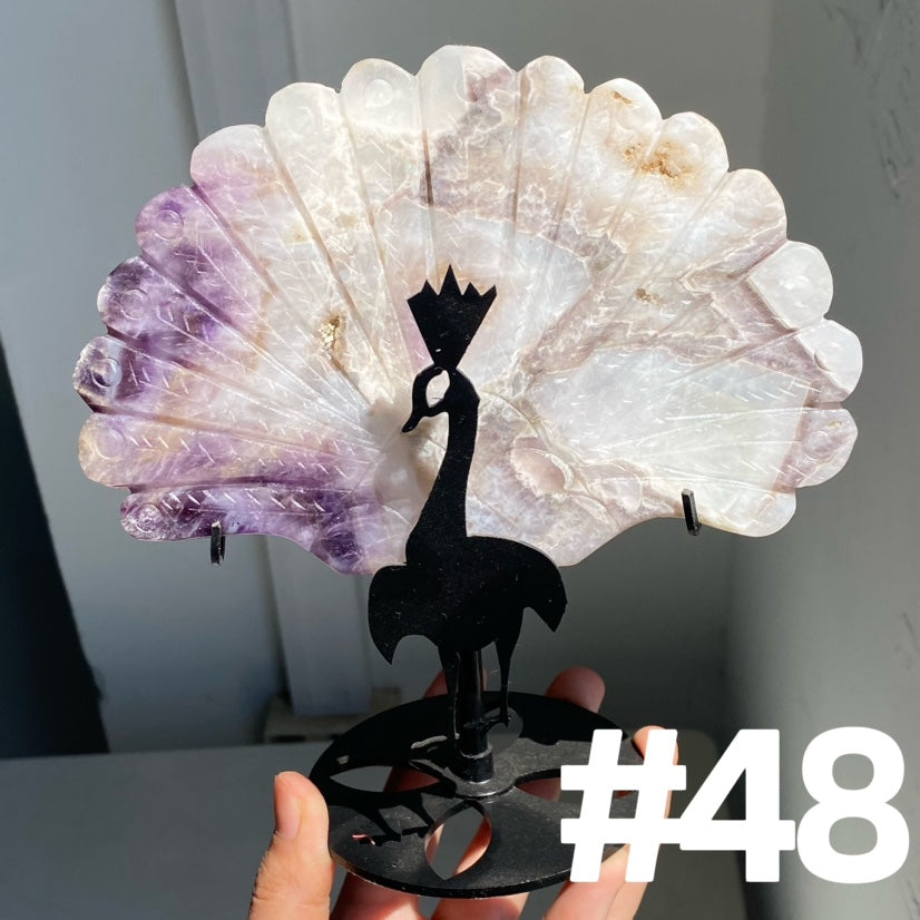 Clearance Peacock Wings