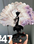 Clearance Peacock Wings
