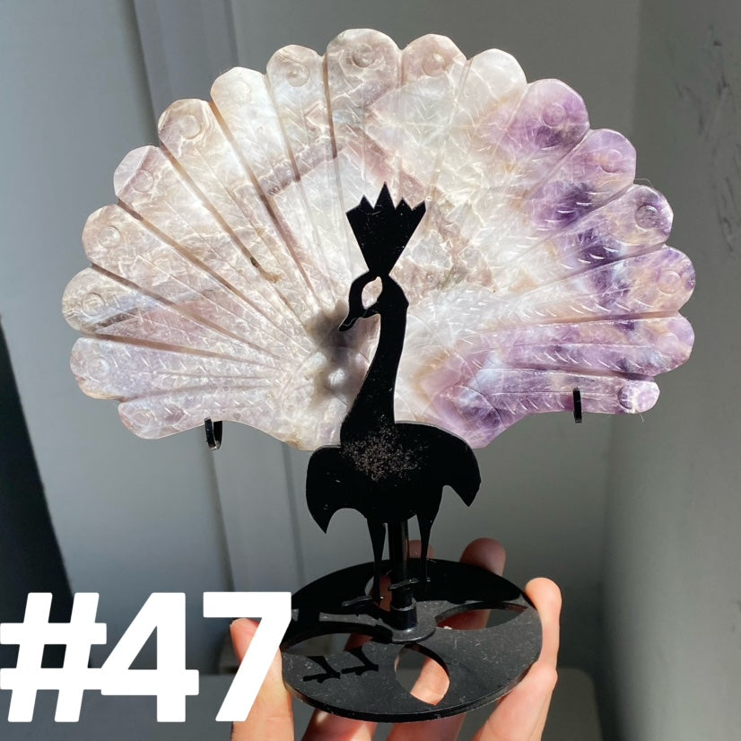 Clearance Peacock Wings