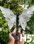Small Butterfly Wings