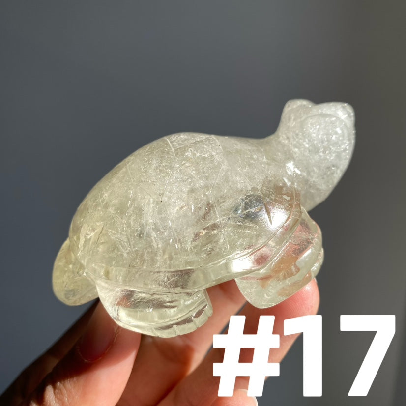 Crystal Turtle