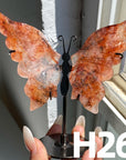 Small Butterfly Wings