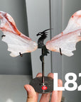 Dragon Wings