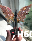 Small Butterfly Wings