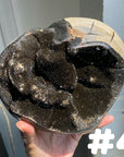 Septarian Egg & Freeform
