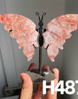 Small Butterfly Wings