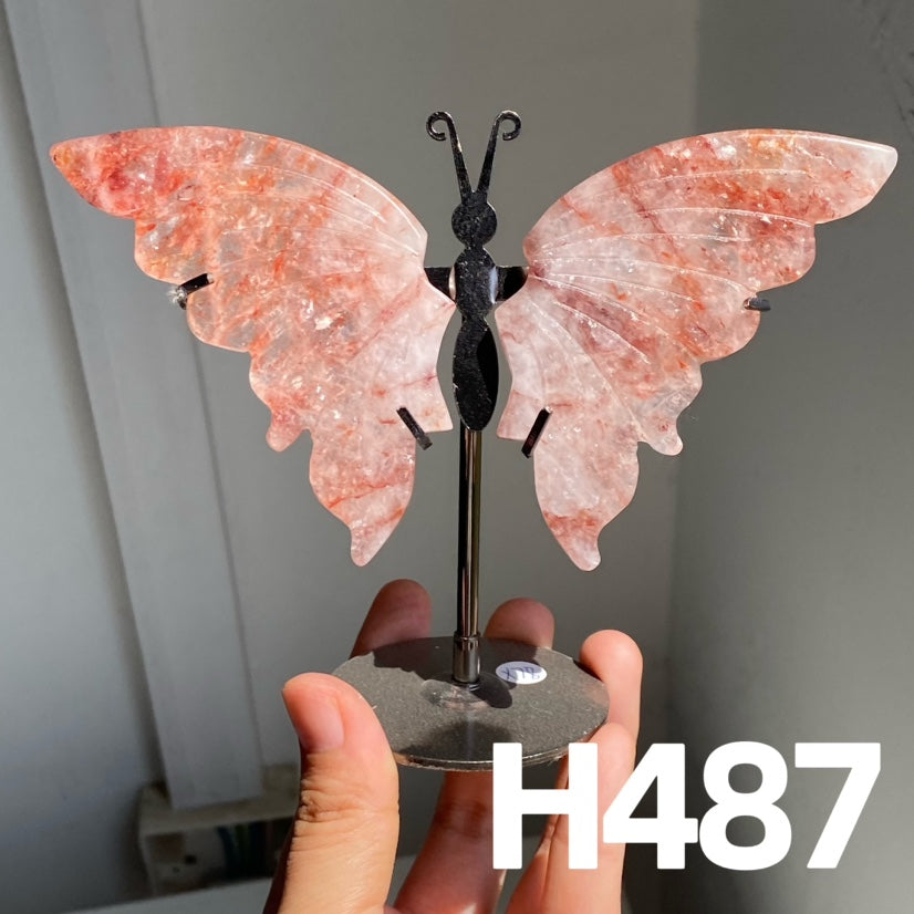 Small Butterfly Wings