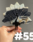 Clearance Peacock Wings(imperfect)