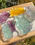 Fluorite Shell Tray