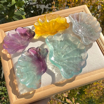 Fluorite Shell Tray