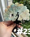 Clearance Peacock Wings
