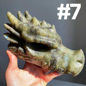 Big Labradorite Dragon Head