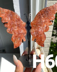 Small Butterfly Wings