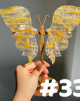 Golden Healer Butterflly (imperfect)