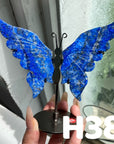 Small Butterfly Wings