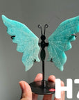 Small Butterfly Wings