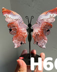 Small Butterfly Wings