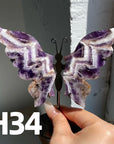 Small Butterfly Wings