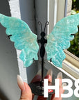 Small Butterfly Wings