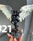 Angel & Devil Wings