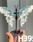 Small Butterfly Wings