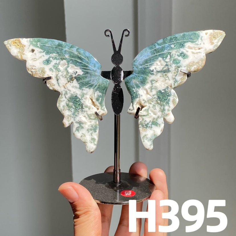 Small Butterfly Wings