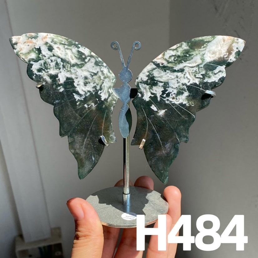 Small Butterfly Wings