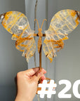 Golden Healer Butterflly (imperfect)