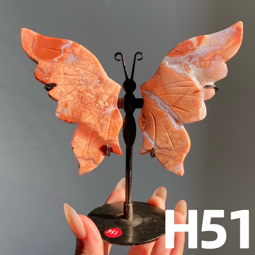 Small Butterfly Wings