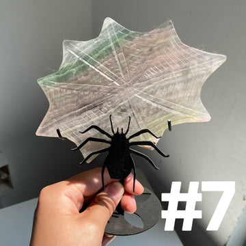 Clearance Crystal Spider Web